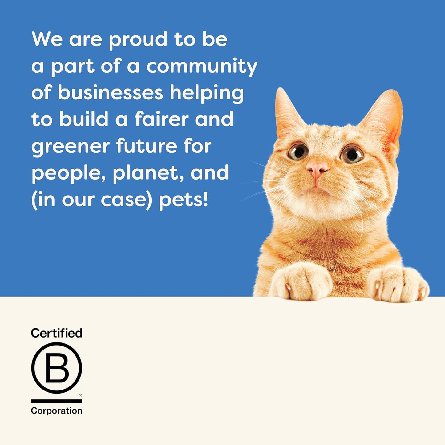 Applaws Natural Wet Cat Food Pouch, Fish Selection in Jelly 70 g (12 x 70 g Pouches)