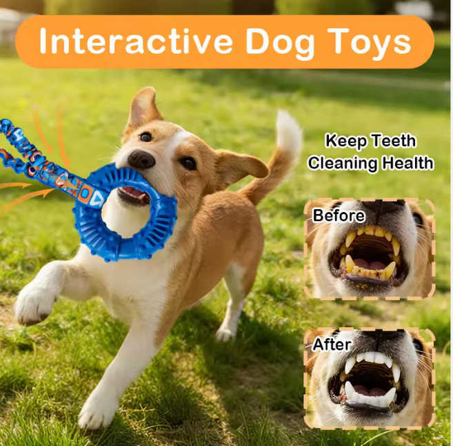 Durable Dog Chew Toy Natural Rubber Ring Textured Wear Bite Resistant Interactive Play for Medium Large Breeds