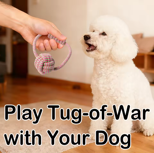 Eco-Friendly Pet Supplies Interactive Handmade Cotton Bite Resistant Design Cleans Teeth While Playing Prevents Destructive Chew