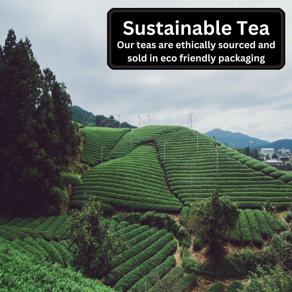 Herbal Loose Leaf Tea Selection