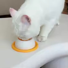 TUGME Lick Toys For Dogs Interactive Dog Toys Slow Feeder Food Dispenser For Puppy Training Enrichment Cat Feeding Crate Accessory