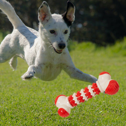 TUGME Interactive Dog Toy For Small Breeds Bone Shaped Puppy Chew Toys For Teething