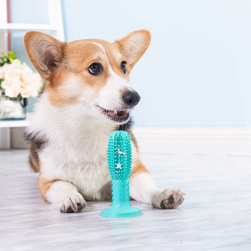 TUGME The New Dog Toothbrush, Dog Molar Teeth Cleaning Stick, Leaking Food Device, Bite Resistant Dog Toy