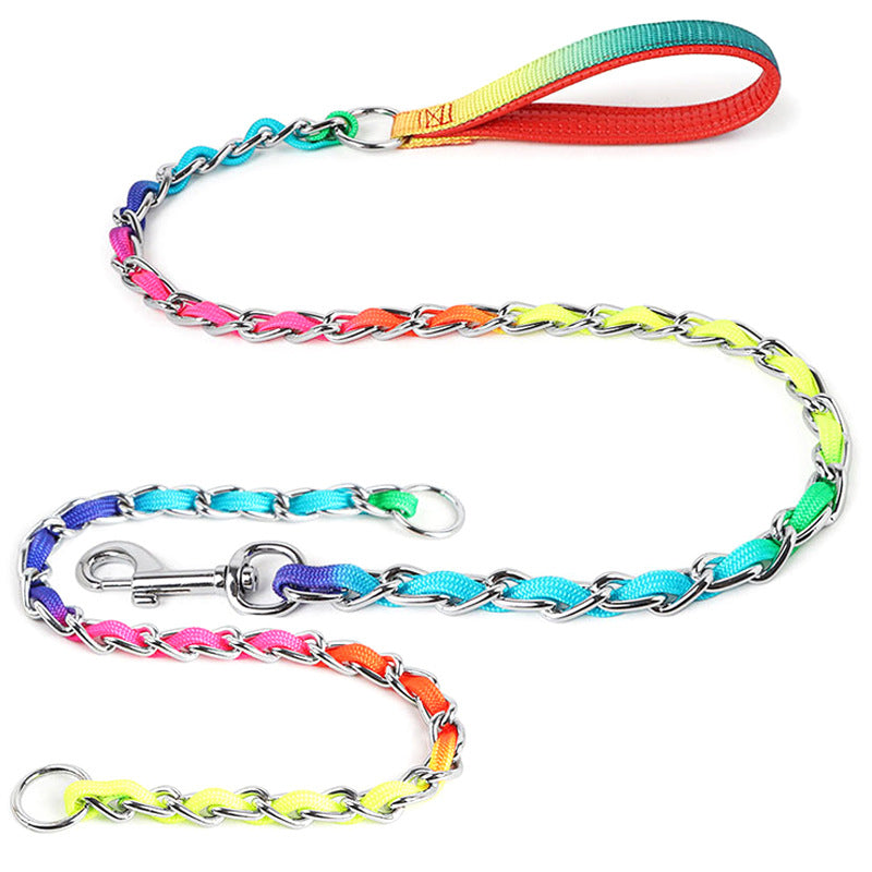 TUGME Ulysses Medium Small Dog Rainbow Dog Chain Teddy Golden Dog Leash Metal Dog Leash