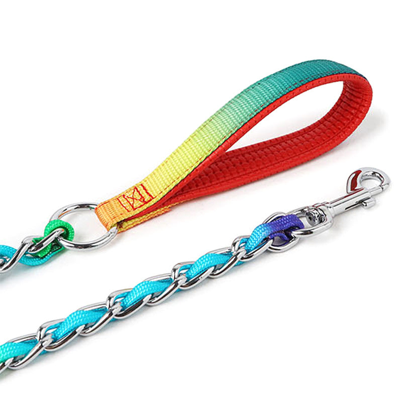 TUGME Ulysses Medium Small Dog Rainbow Dog Chain Teddy Golden Dog Leash Metal Dog Leash