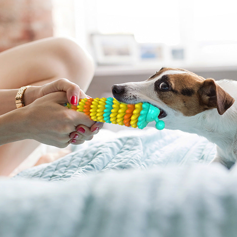 TUGME Pet Products Natural Rubber Dog Toothbrush Dog Molar Stick