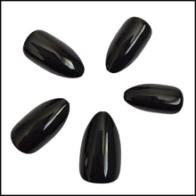 Flexies - Midnight Muse