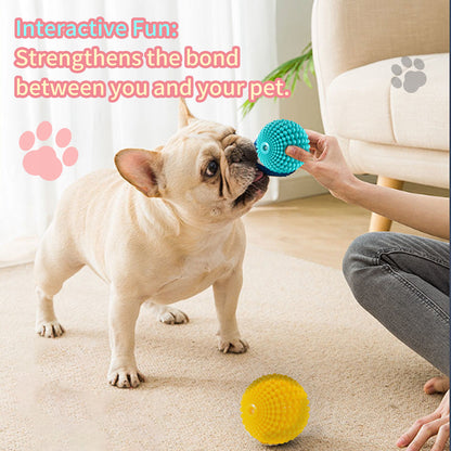 TUGME Sugar Squeaky Dog Toys Aggressive Chew Large Medium Dogs  Unbreakable Tough