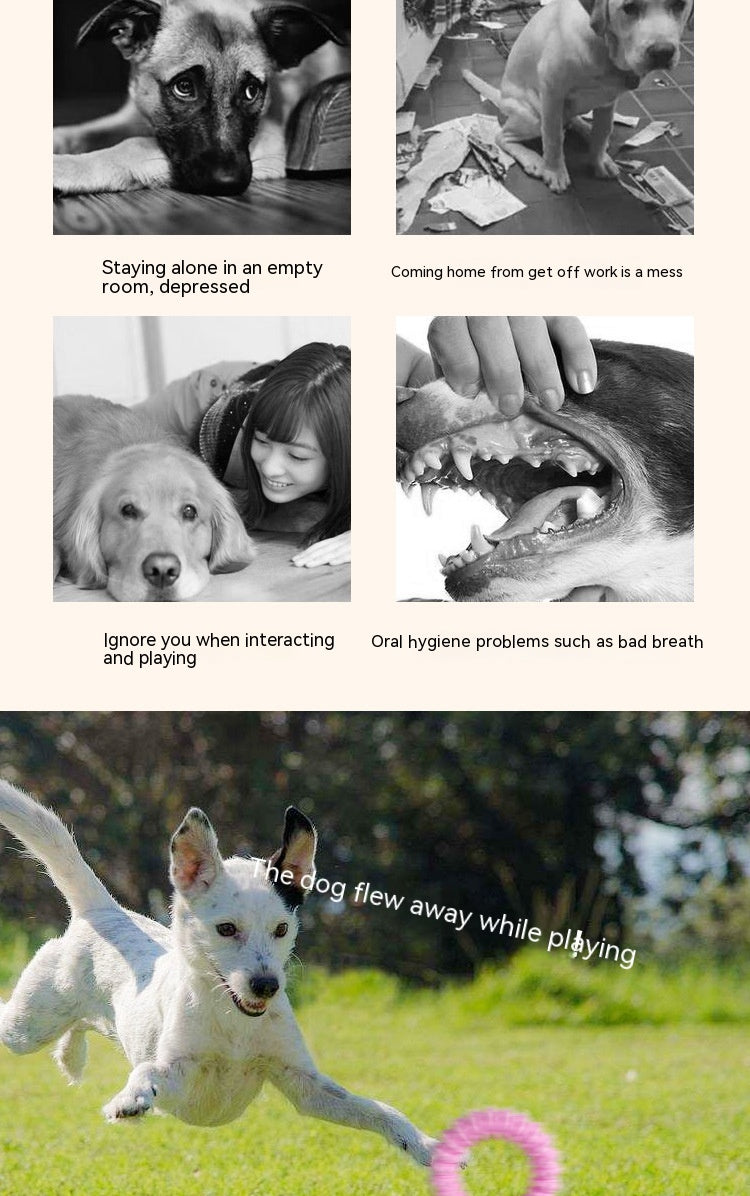 TUGME Pet Foam Ring Anti Bite Molar Toy