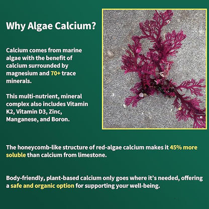 Algal Calcium Gummies