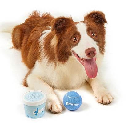 TUGME Outdoor Interactive Tennis Dog Toys