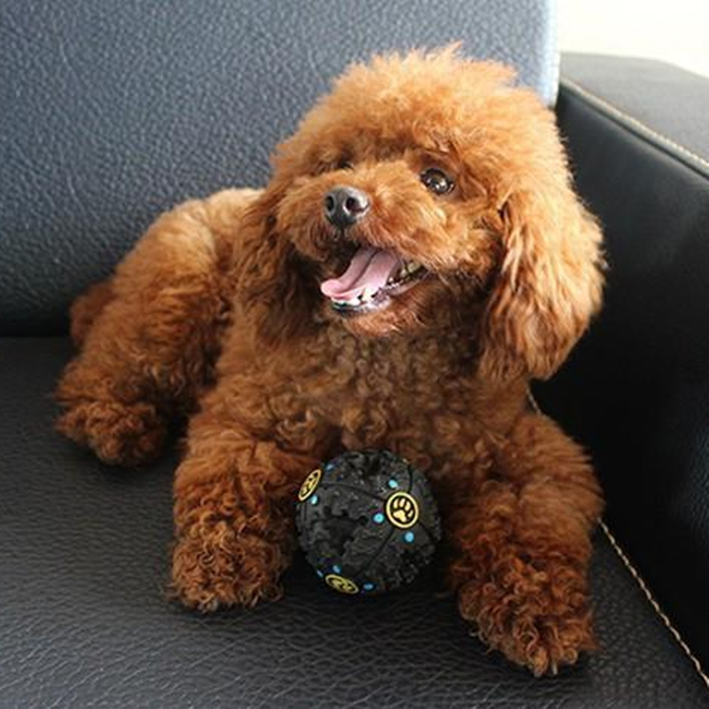 TUGME Paw Prime's Tricky Treat Ball