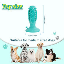 TUGME Different Functions Interactive Balls For Dogs Squeaky Dog Balls Toys And Puppy Teething Chew Toy Balls For Small Dogs Dog Balls For Clean Teeth And Training 4Pcs