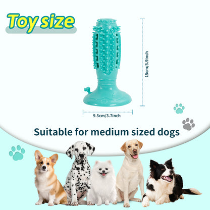 TUGME Different Functions Interactive Balls For Dogs Squeaky Dog Balls Toys And Puppy Teething Chew Toy Balls For Small Dogs Dog Balls For Clean Teeth And Training 4Pcs
