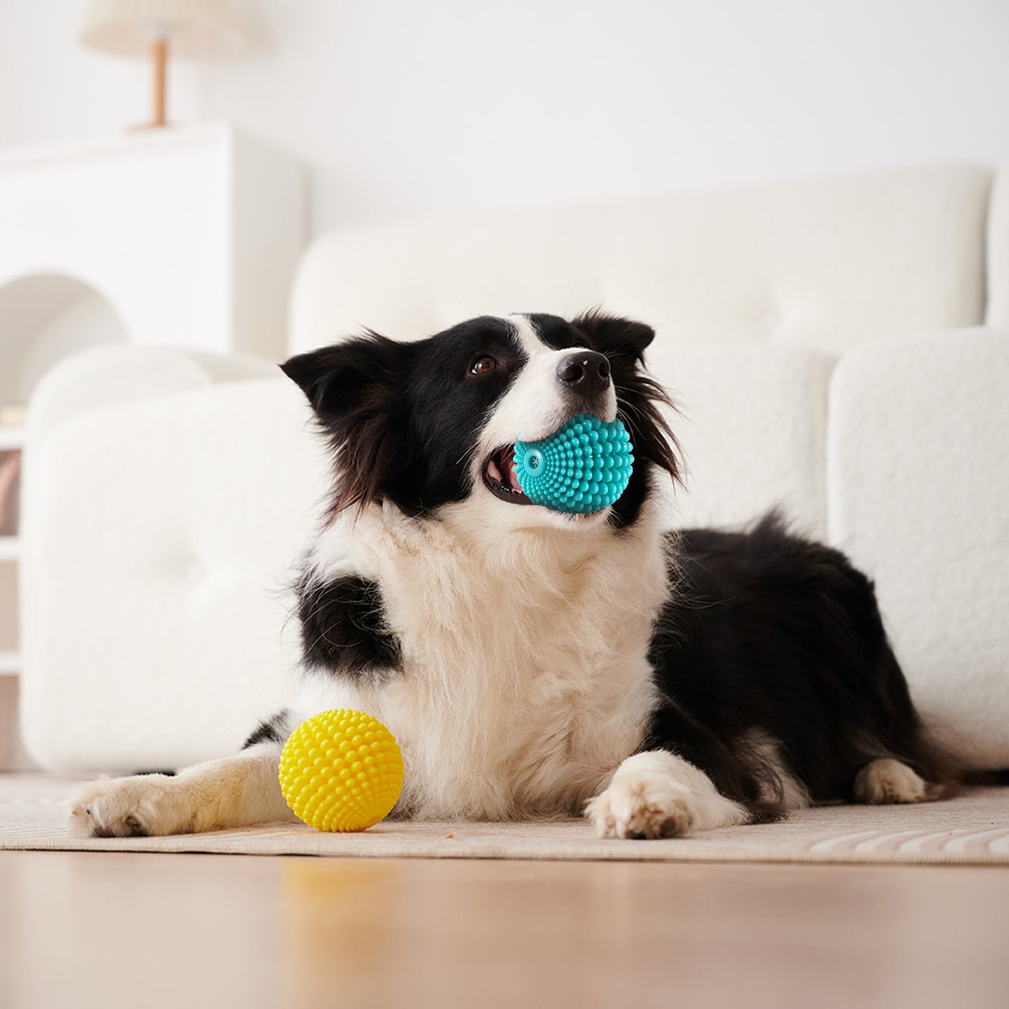 TUGME Sugar Squeaky Dog Toys Aggressive Chew Large Medium Dogs  Unbreakable Tough