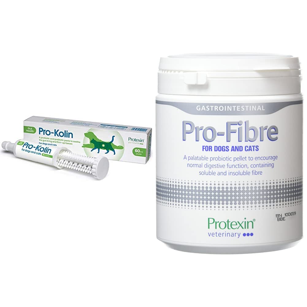 Protexin pet health Pro-Kolin for Dogs and Cats Probiotic Paste and Syringe, 60 ml (Pack of 1)