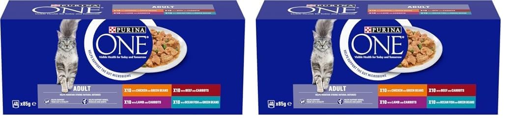 PURINA ONE Mini Fillets Mixed Selection in Gravy Wet Cat Food 40x85g