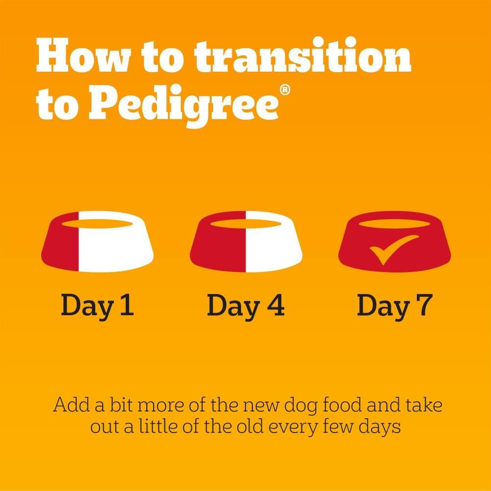PEDIGREE - Adult Wet Dog Food Pouches - 40 x 100 g - Mixed Selection in Gravy - Dog Food Wet Bulk Pack