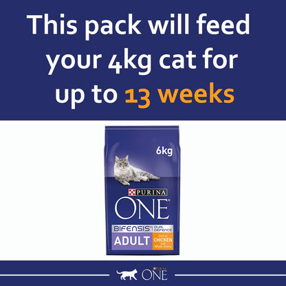 Purina ONE Adult Dry Cat Food Rich in Chicken 6kg, Packaging may vary