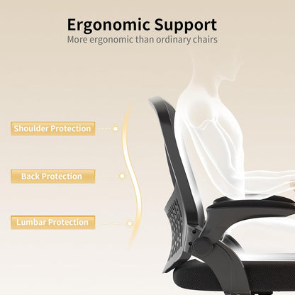naspaluro Computer Desk Chair, Ergonomic Office Chair with 3D Lumbar Support, Flip-up Armrests Mesh Chair with Metal Claws, Mid-Back Home Office Chair-Black