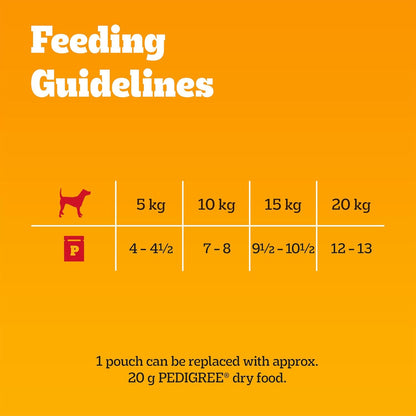 PEDIGREE - Adult Wet Dog Food Pouches - 40 x 100 g - Mixed Selection in Gravy - Dog Food Wet Bulk Pack