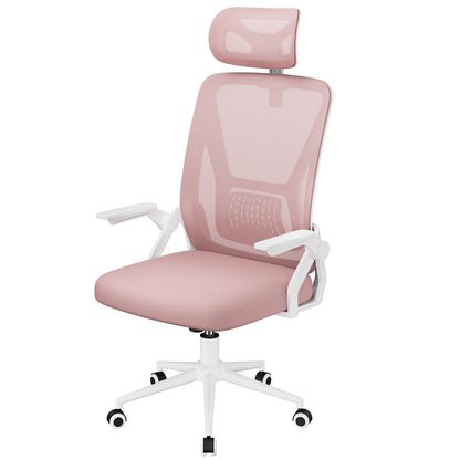 naspaluro Computer Desk Chair, Ergonomic Office Chair with 3D Lumbar Support, Flip-up Armrests Mesh Chair with Metal Claws, Mid-Back Home Office Chair-Black