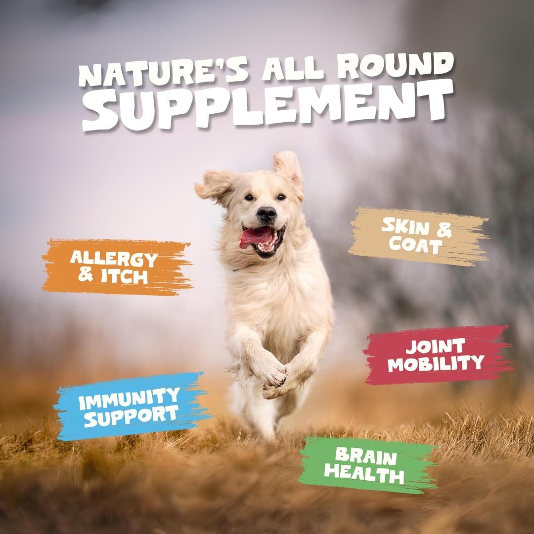 Scottish Salmon Oil For Dogs, Cats, Horse, Ferret - Pure Omega 3, 6 & 9 Fish Oil Food Treats Supplement for Natural Coat, Immune Support, Itchy Skin, Joint & Brain Health (500ml)