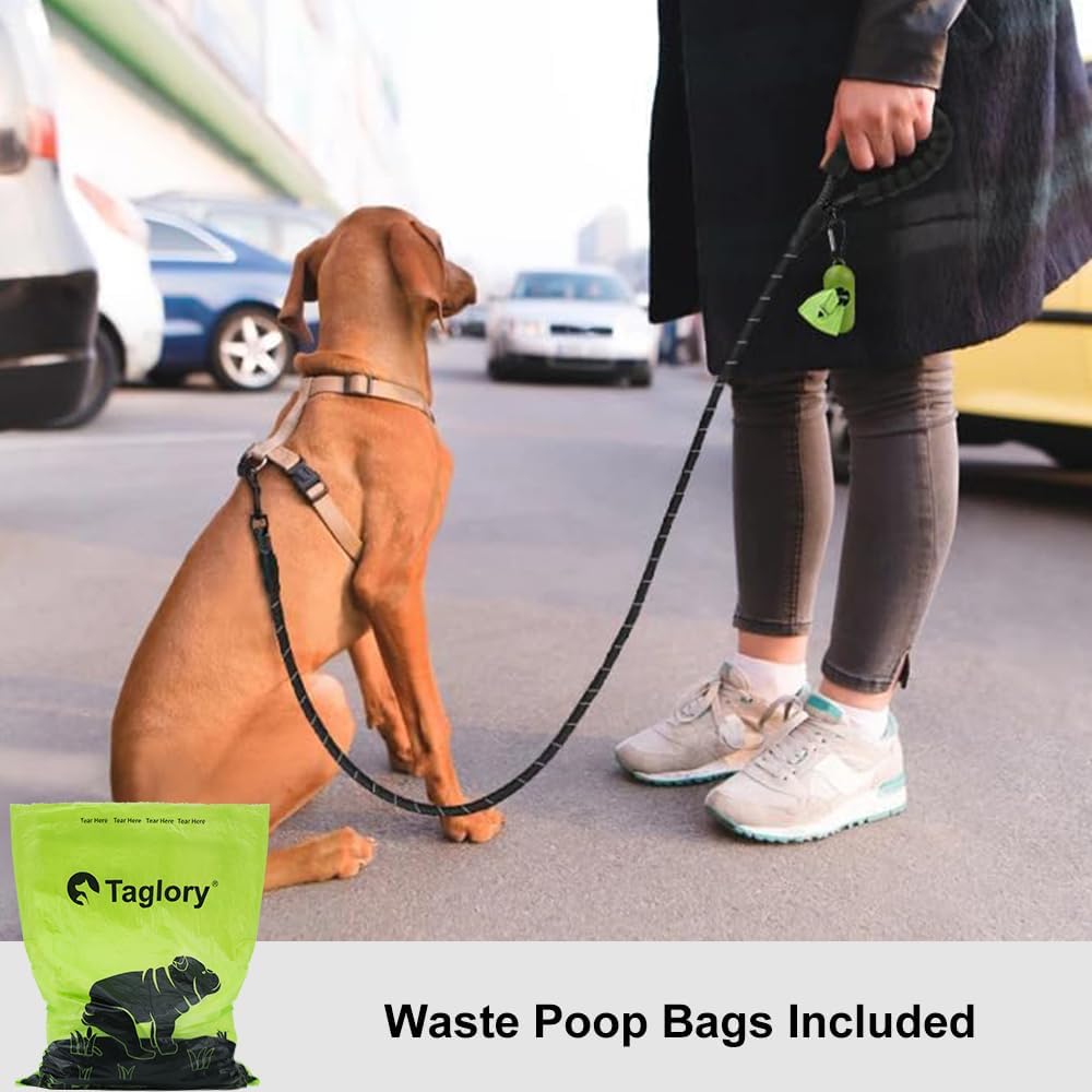 Taglory Rope Dog Lead with Soft Padded Handle, 1.2 m Reflective Lead and Multi-Colour for Small Dogs, 1.0 cm, Black
