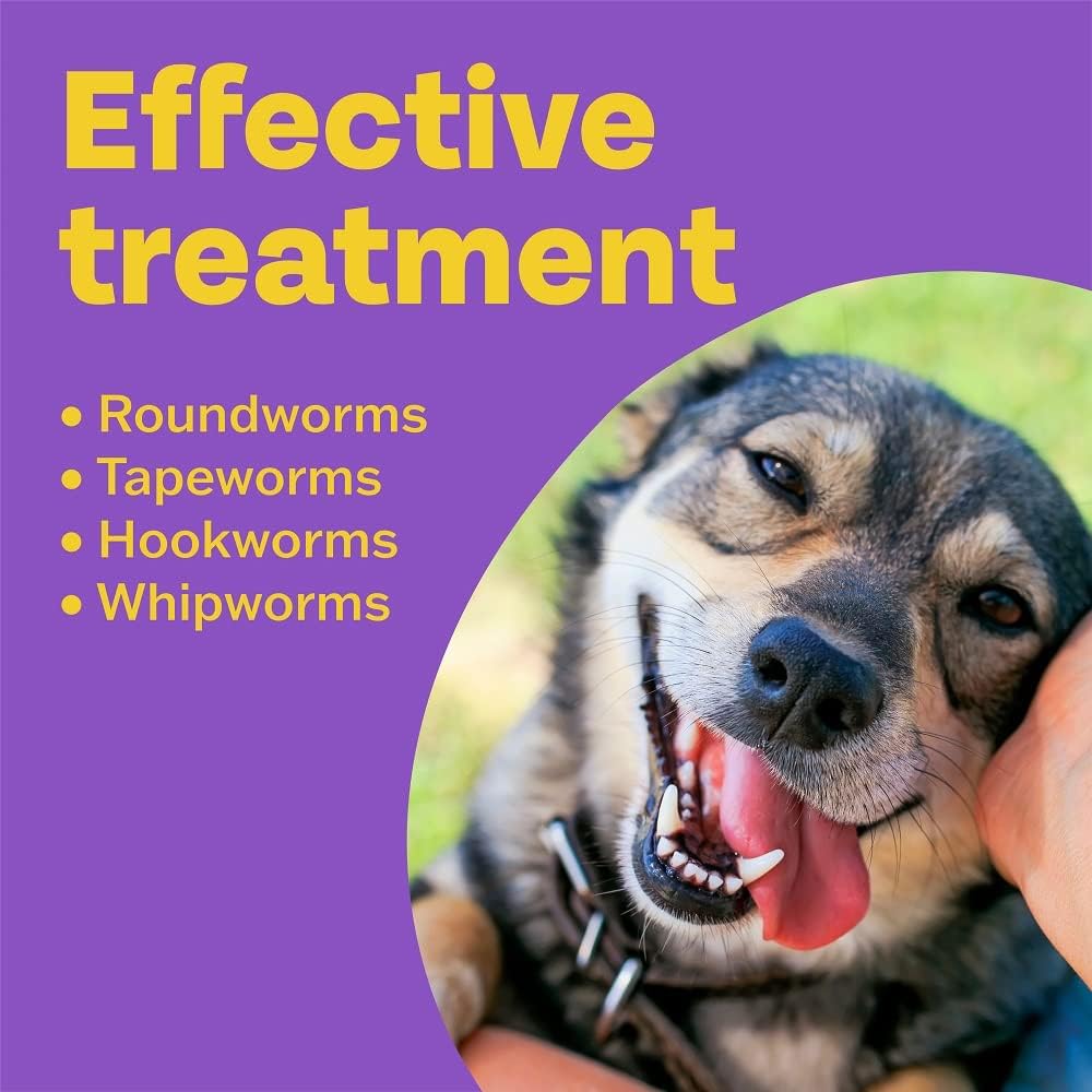 Bob Martin Clear 3-in-1 Wormer for Dogs (4 Tablets) - For Small, Medium and Large Dogs up to 40kg, Clinically Proven Treatment