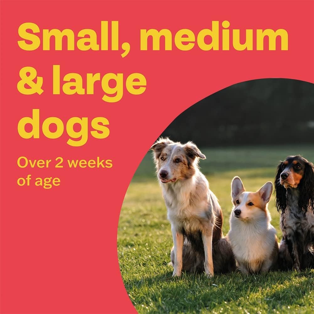 Bob Martin Clear 3-in-1 Wormer for Dogs (4 Tablets) - For Small, Medium and Large Dogs up to 40kg, Clinically Proven Treatment