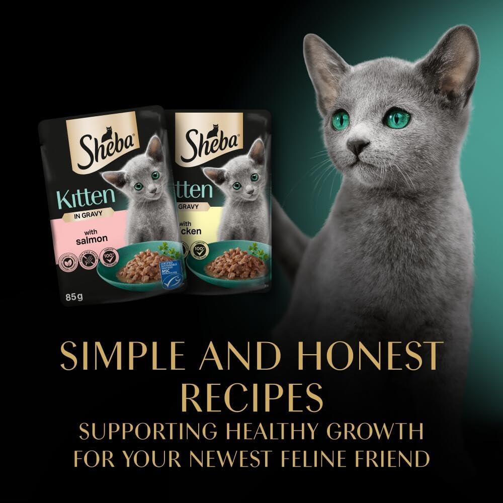 Sheba Sauce Collection Cat Food Pouch for Kitten Mixed Selection in Gravy 40x85g