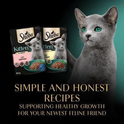 Sheba Sauce Collection Cat Food Pouch for Kitten Mixed Selection in Gravy 40x85g