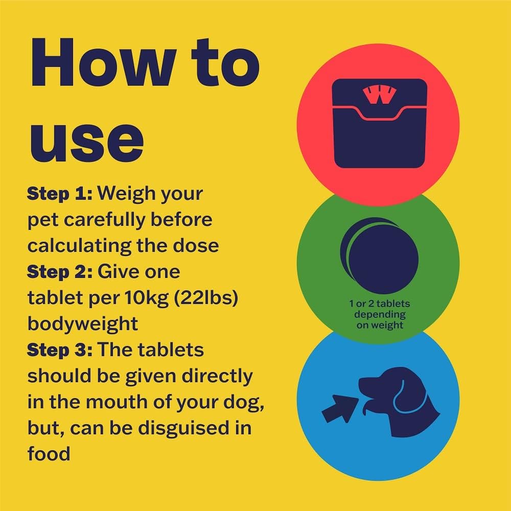 Bob Martin Clear 3-in-1 Wormer for Dogs (4 Tablets) - For Small, Medium and Large Dogs up to 40kg, Clinically Proven Treatment