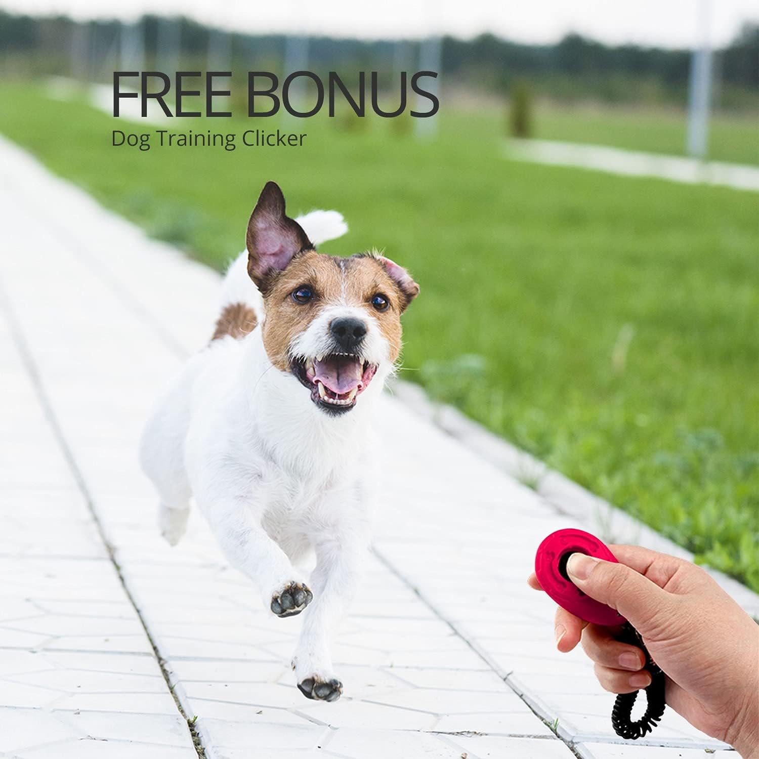 CFMOUR Retractable Dog Lead, 5m/20kg Red Heavy-Duty Extendable Dog Leads for Small to Medium Dogs; Strong Nylon Tape Ribbon Leash, One-Button Brake&Lock, Bonus Training Clicker