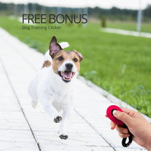CFMOUR Retractable Dog Lead, 5m/20kg Red Heavy-Duty Extendable Dog Leads for Small to Medium Dogs; Strong Nylon Tape Ribbon Leash, One-Button Brake&Lock, Bonus Training Clicker