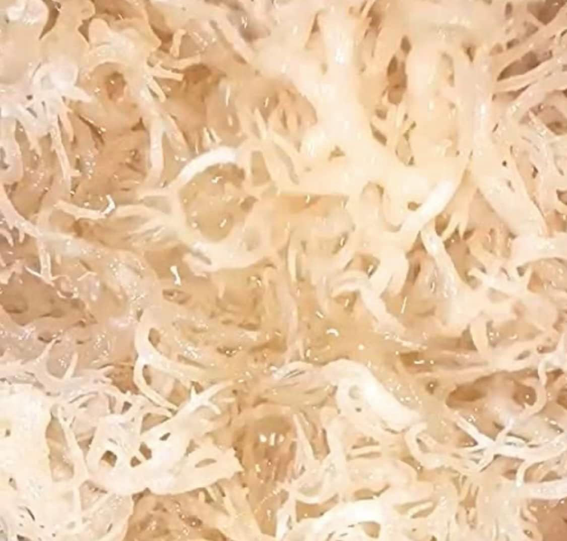 Sea Moss (raw) (Rainbow 1kg)