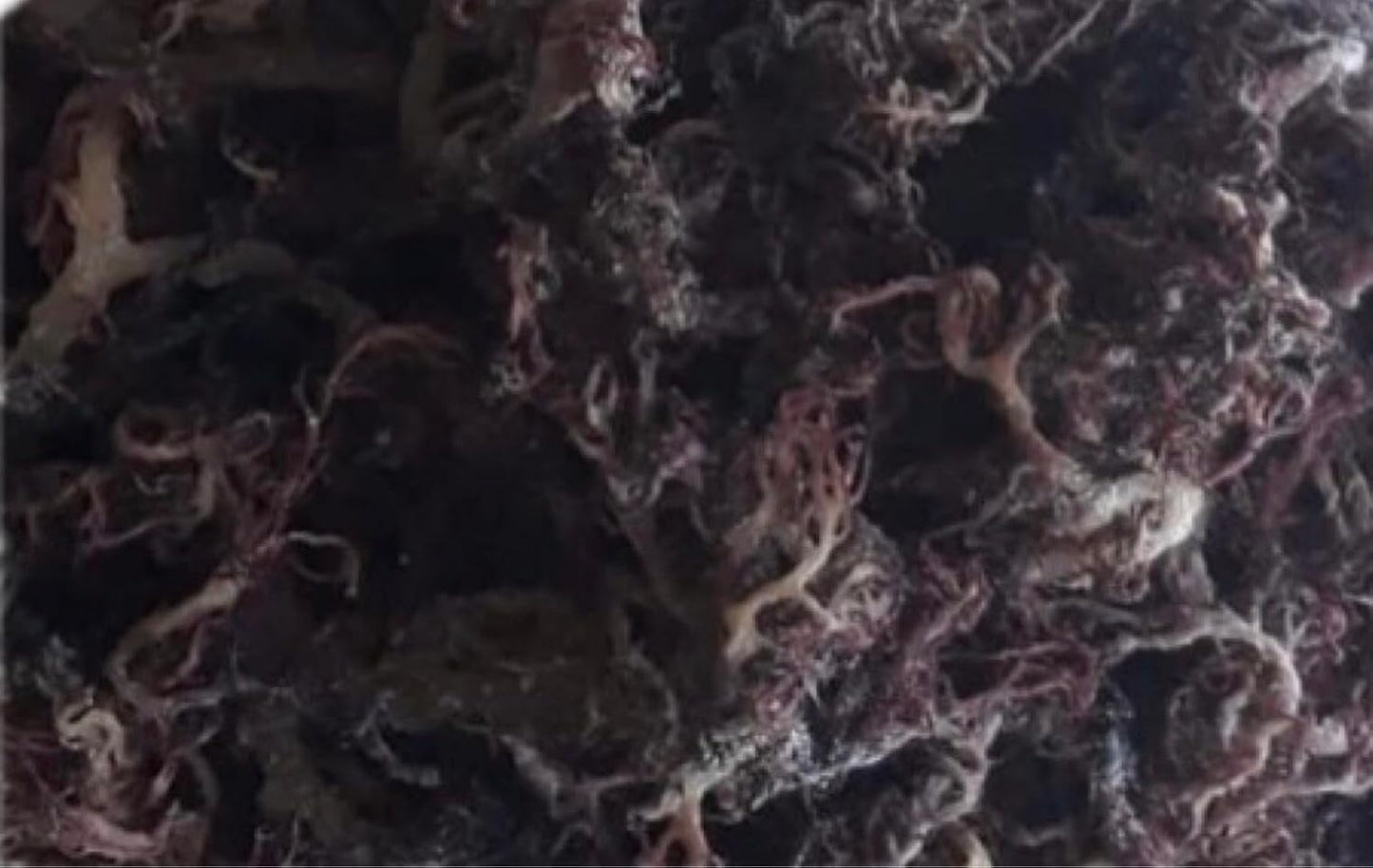 Sea Moss (raw) (Rainbow 1kg)