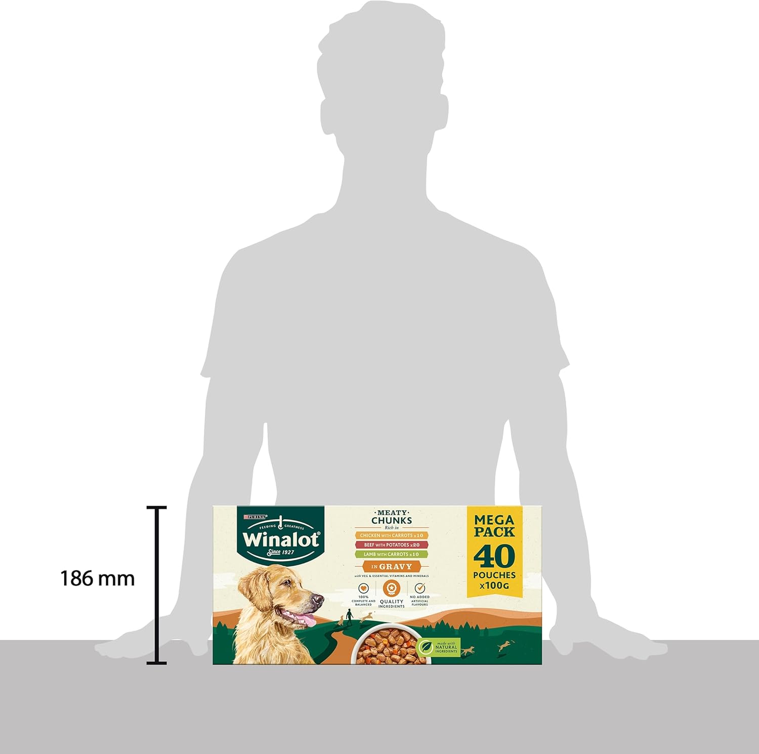 Winalot Dog Food Mixed in Gravy, 40 x 100g (Packaging may vary)