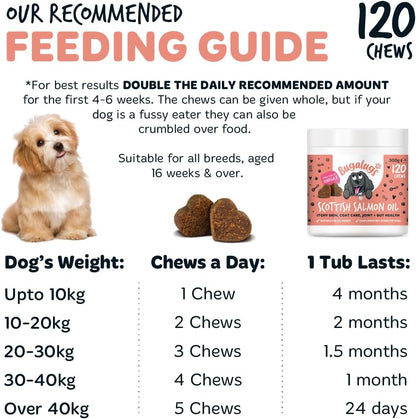 Bugalugs Scottish Salmon Oil Chews For Dogs, Dog Supplement Supports Skin And Coat, Dog Itchy Skin & A Moulting, Omega 3 Fish Oil (120 Chews, Salmon)