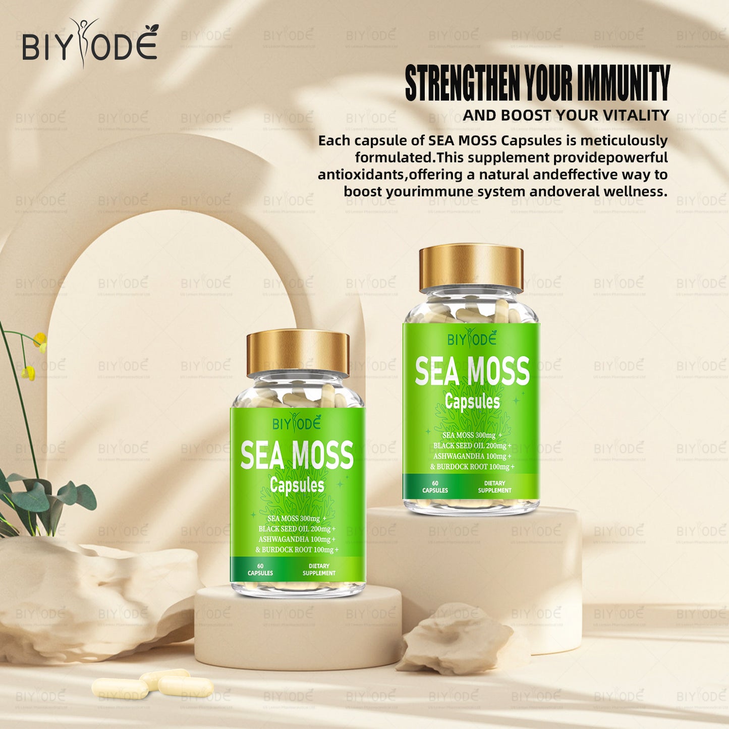 Ready Stock Sea Moss Supplement Capsules Factory Wholesale Seamoss Capsules