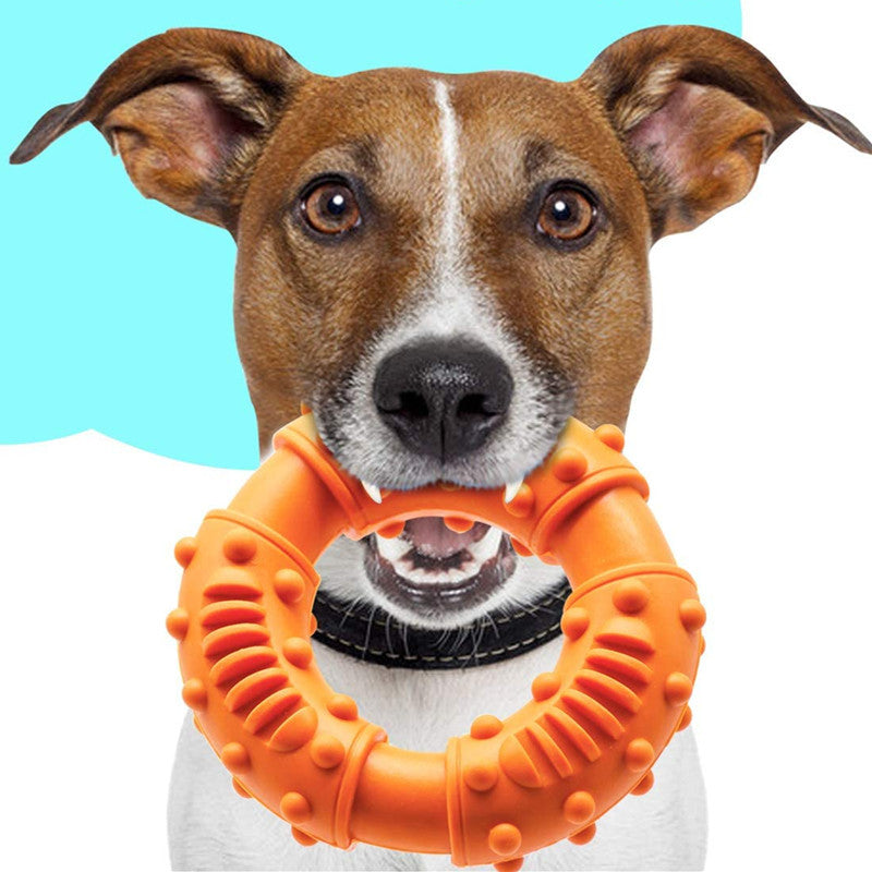 TUGME Dog Fetching Stick Bouncy Hollow Interactive Toy For Puppies Large Dogs Floatable Stick Lightweight Chewy Toy For Catch Fetch