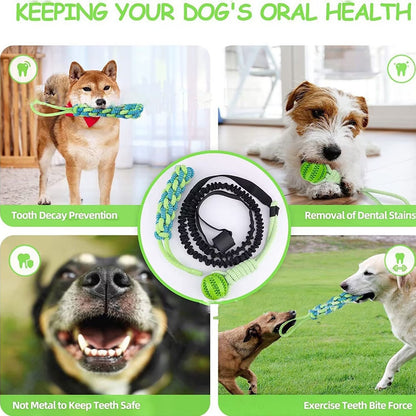 TUGME Pet Dog Tug Of War Rope Indoor Outdoor Bite Rope Toy