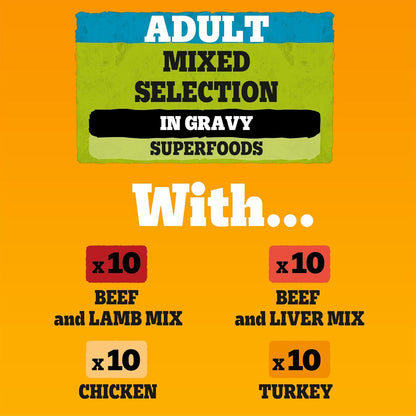 PEDIGREE - Adult Wet Dog Food Pouches - 40 x 100 g - Mixed Selection in Gravy - Dog Food Wet Bulk Pack