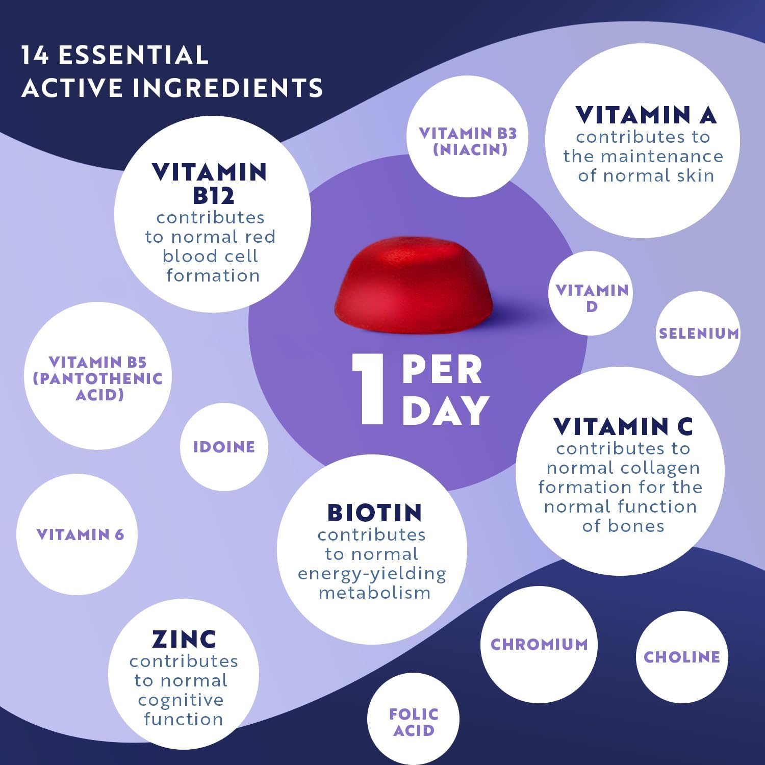 Multivitamin Gummies for Women & Men - 60 Vegan Gummies (2 Month Supply) - 14 Essential Vitamins & Minerals with Vitamin C A D B12 Biotin Zinc - Berry Flavour Chewable Adult Multi Vitamins - Nutravita