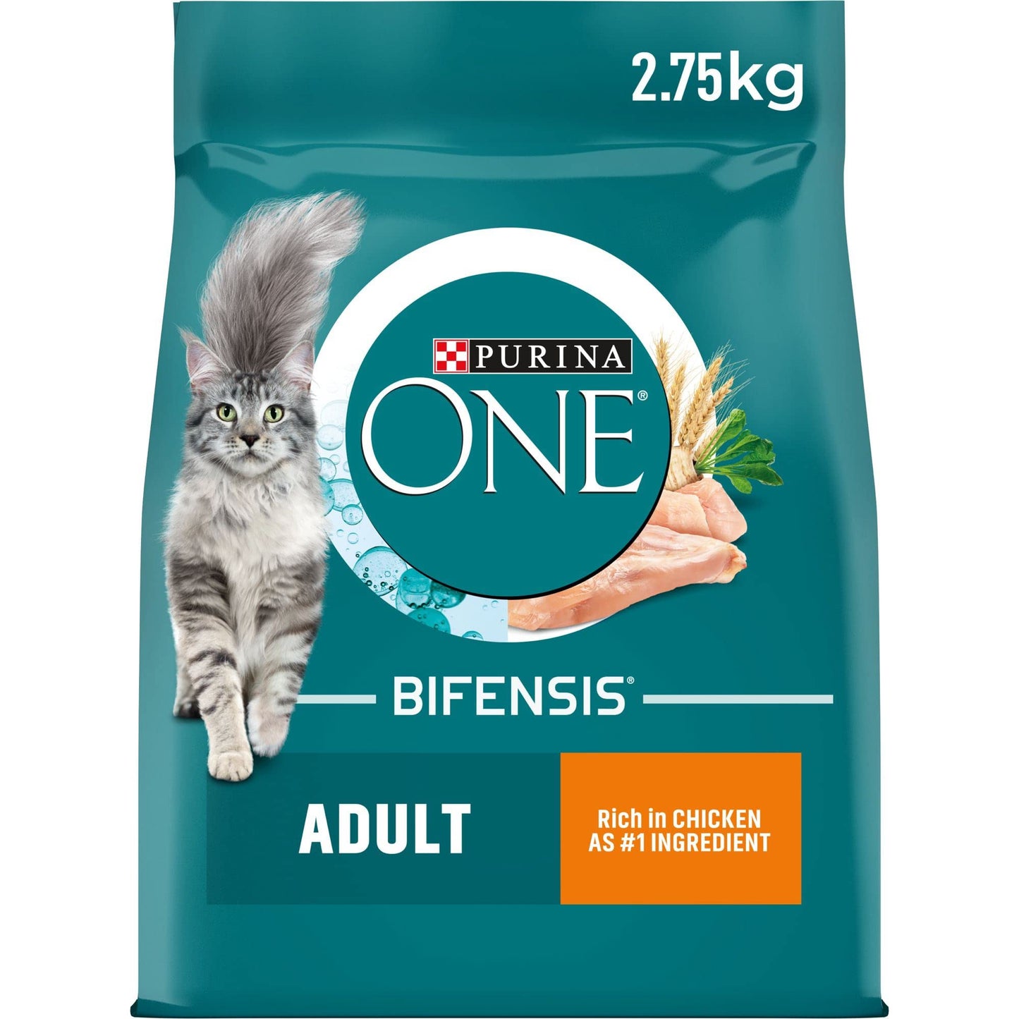 Purina ONE Adult Dry Cat Food Rich in Chicken 6kg, Packaging may vary
