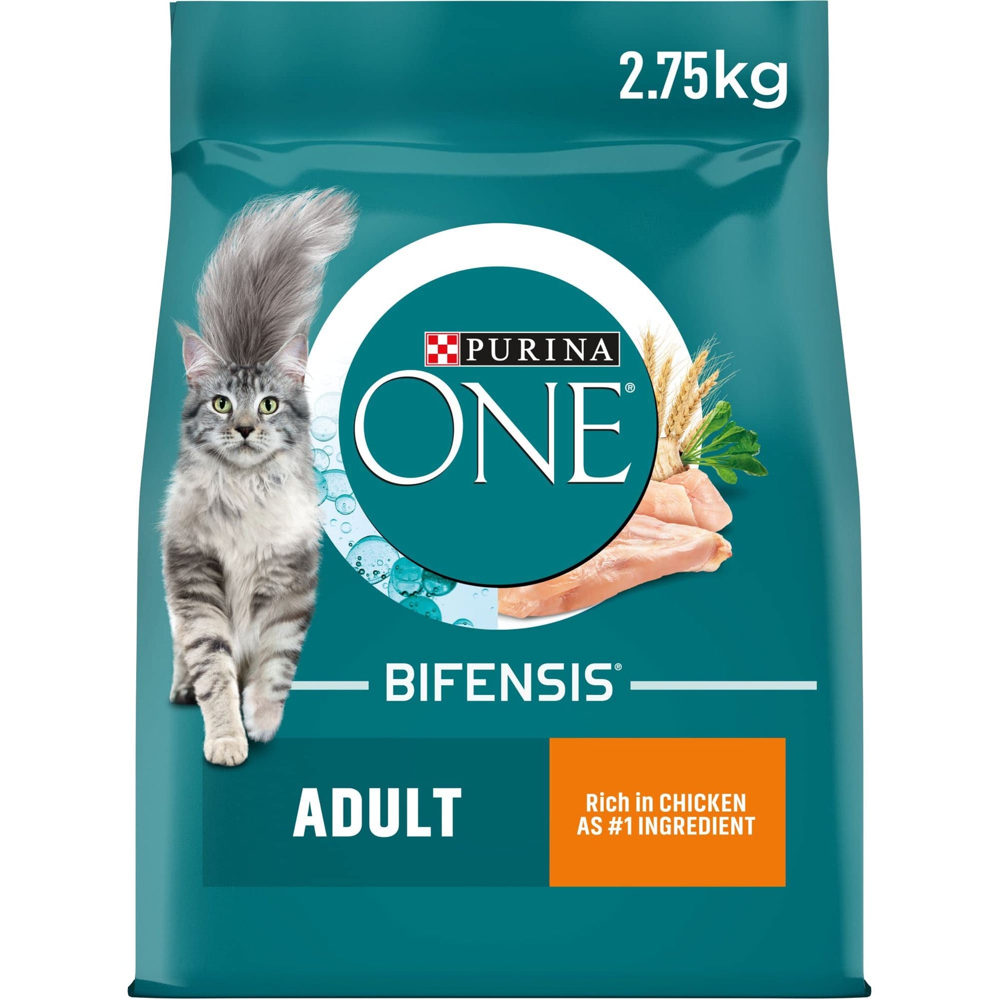Purina ONE Adult Dry Cat Food Rich in Chicken 6kg, Packaging may vary