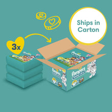 Pampers Baby-Dry Paw Patrol Edition Size 4, 222 Nappies, 9kg - 14kg, Monthly Pack, with A Stop & Protect Pocket to Help Prevent Leaks at The Back