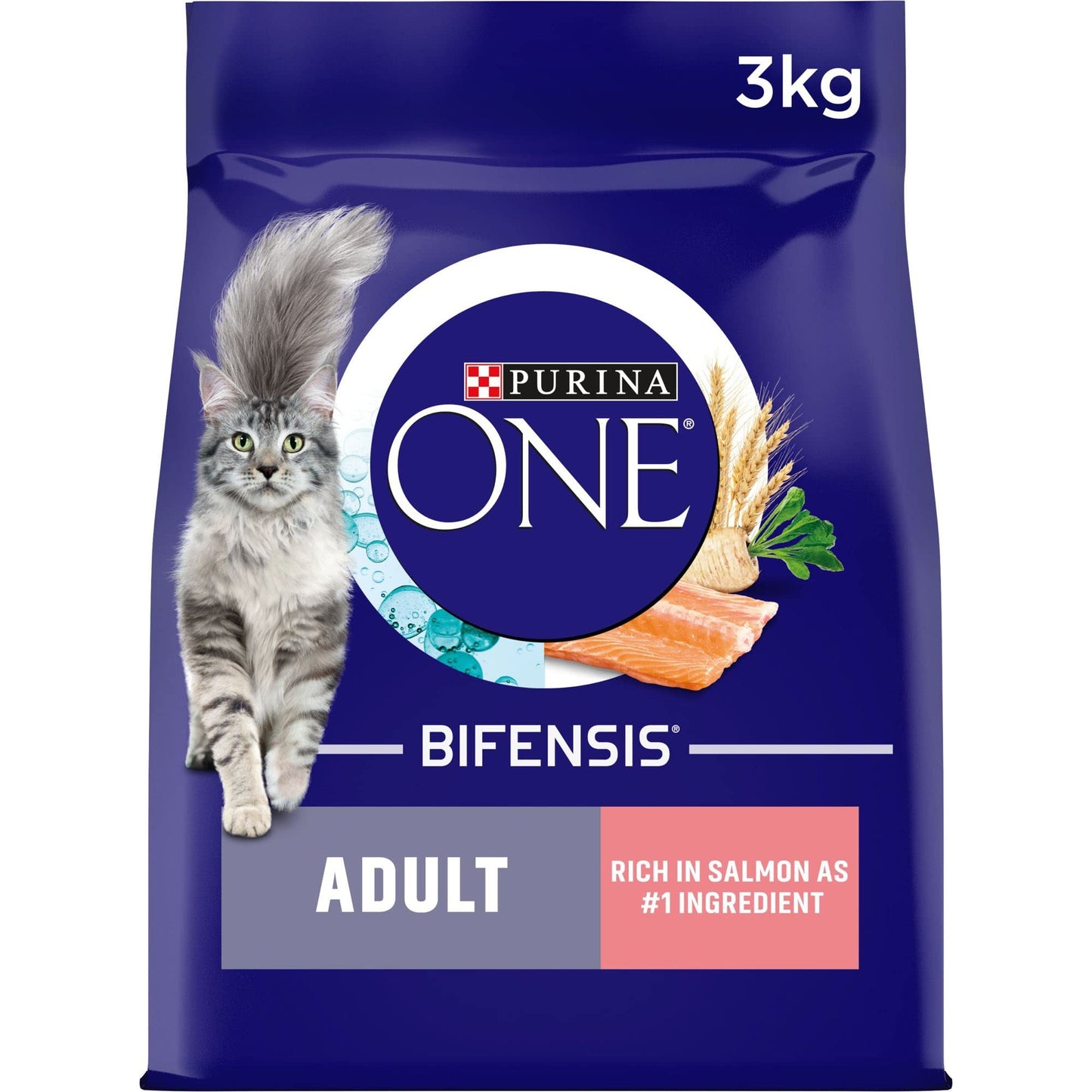 Purina ONE Adult Dry Cat Food Rich in Chicken 6kg, Packaging may vary