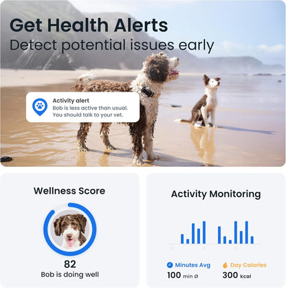 Tractive GPS Dog Tracker | 2025 Edition | Market leader | Real-time location tracking | Escape Alerts | Activity Monitoring | Health Alerts | Bark Monitoring (Black)