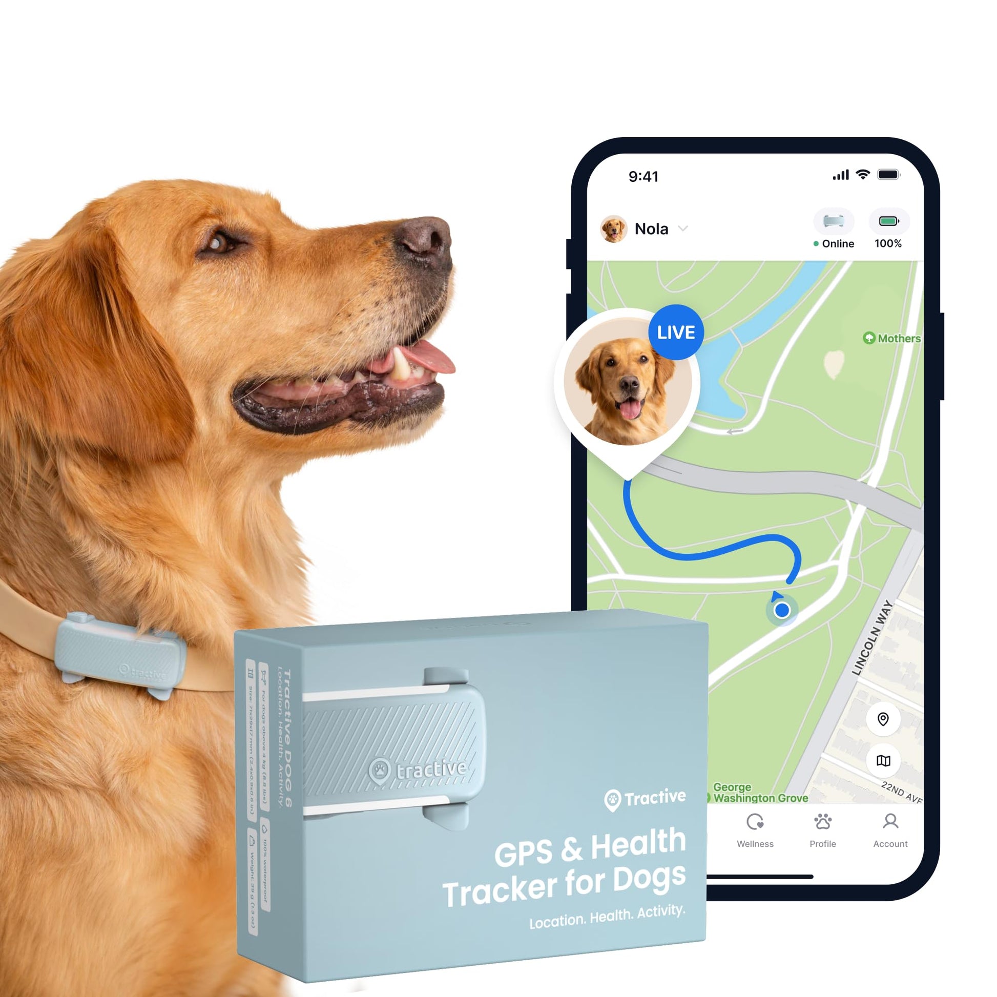 Tractive GPS Dog Tracker | 2025 Edition | Market leader | Real-time location tracking | Escape Alerts | Activity Monitoring | Health Alerts | Bark Monitoring (Black)